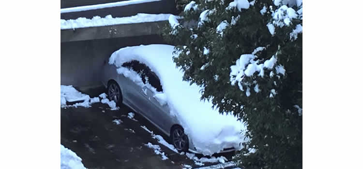 自由が丘・我が愛車も雪に