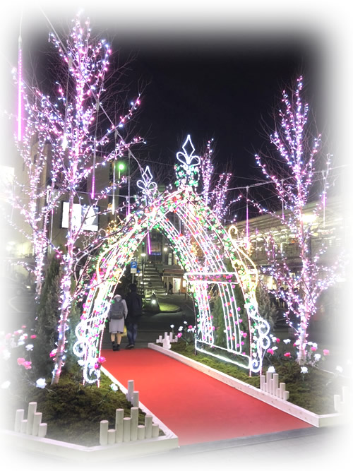 自由が丘のクリスマス｜自由が丘　天使バレエスクール