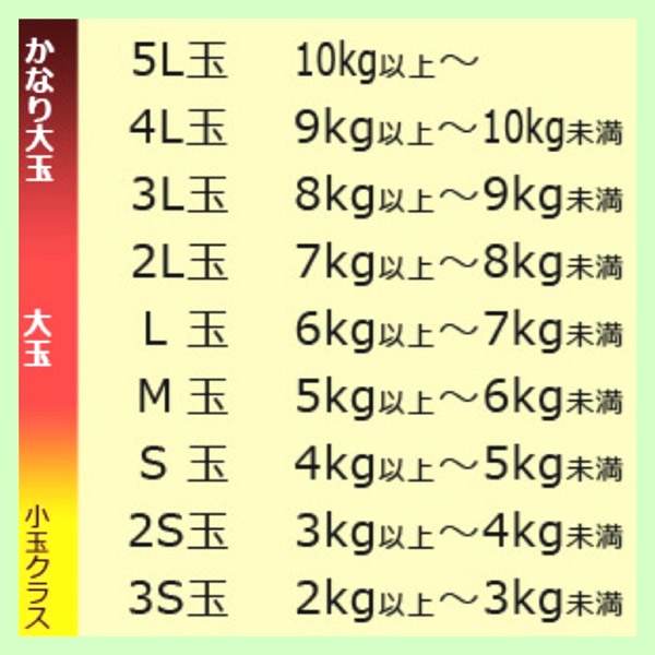 岩手・滝沢すいか-2｜目黒・自由が丘　天使バレエスクール