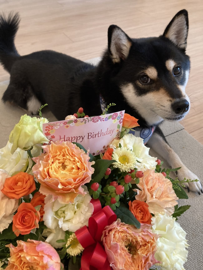 緑先生✨Happy🎉Birthday✨｜目黒・自由が丘　天使バレエスクール