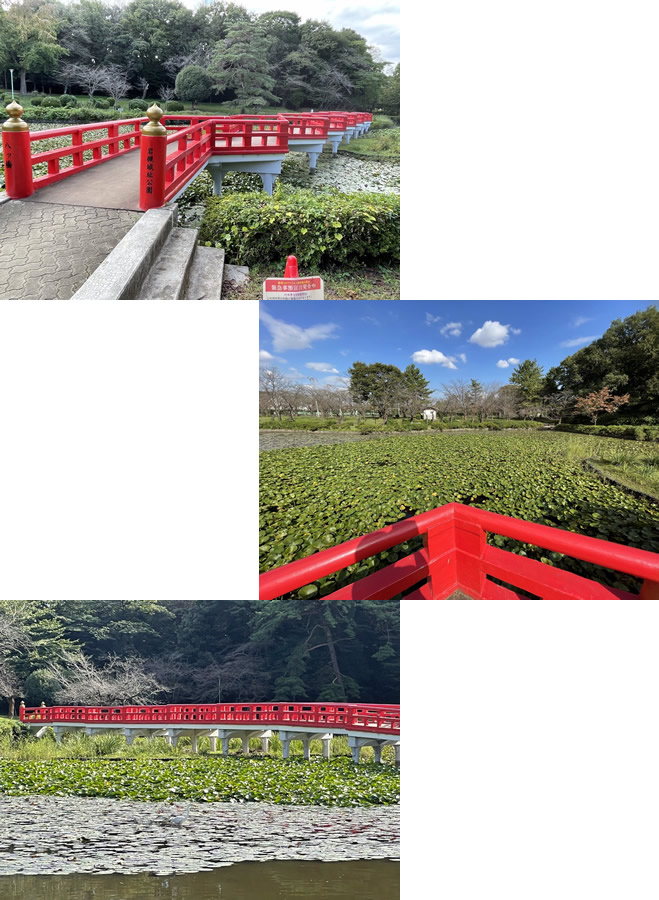 岩槻公園-2｜目黒・自由が丘　天使バレエスクール
