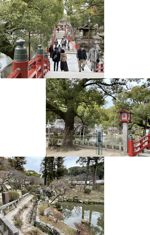 博多への旅3-3｜世田谷・自由が丘　天使バレエスクール