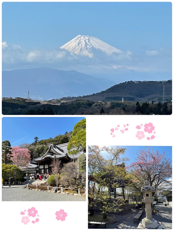 修善寺の修禅寺-1｜世田谷・自由が丘　天使バレエスクール