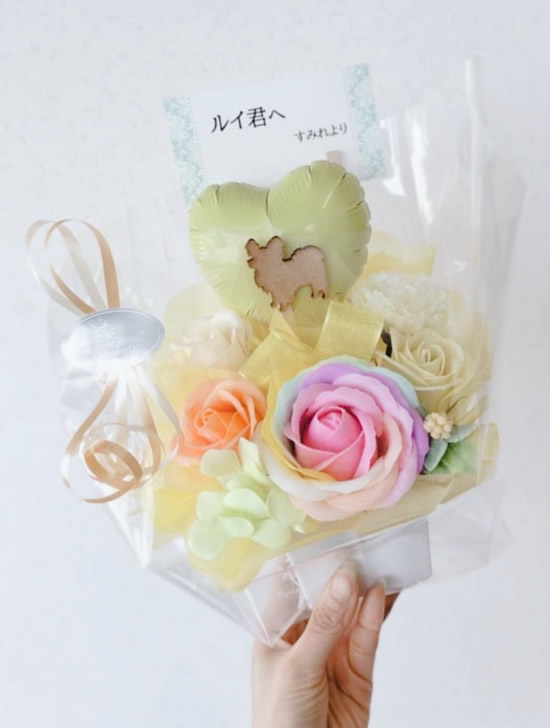 ルイ君🐶🐾ご命日-1｜世田谷・自由が丘　天使バレエスクール