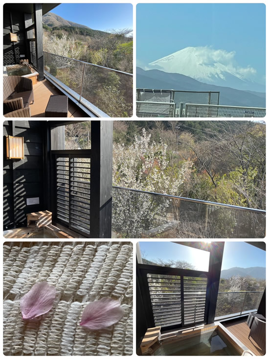 ママ先生🍀Happy  birthday①-1｜世田谷・自由が丘　天使バレエスクール